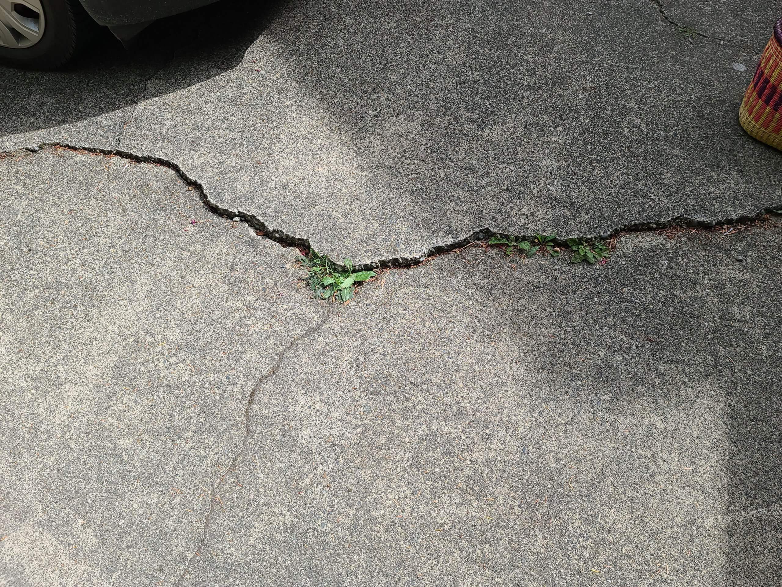 What Are These Walkway and Driveway Settlement Cracks?